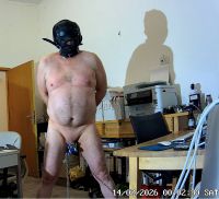 Bildschirmfoto 2026-02-15 um 16.26.11